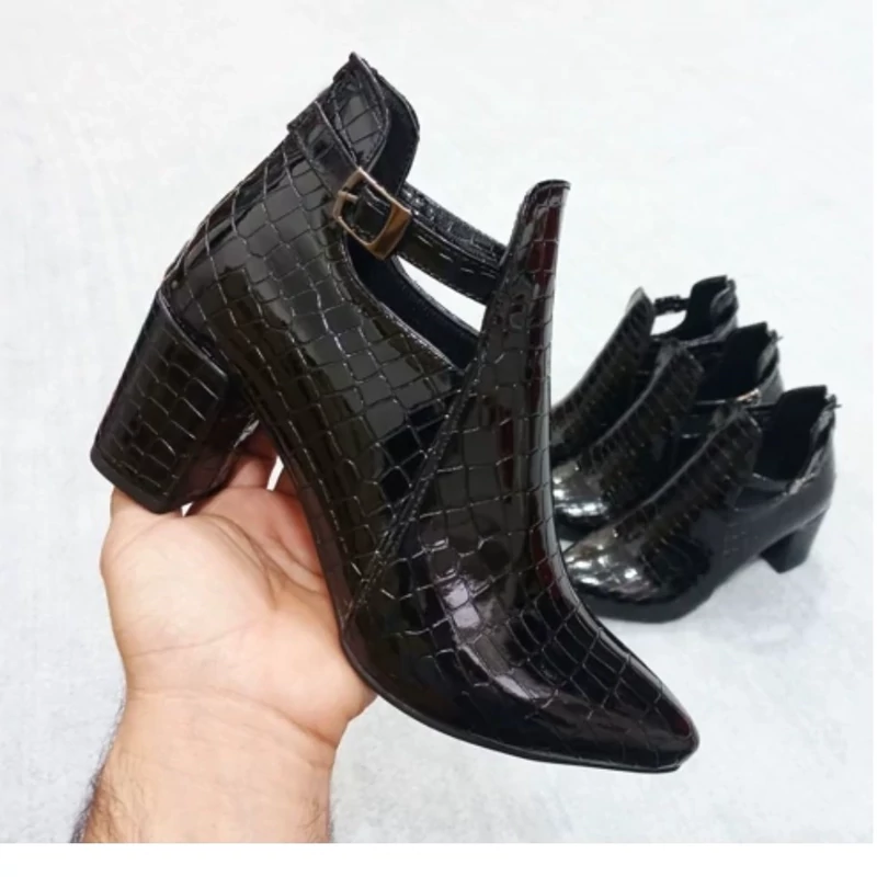 مجلسی سناتور